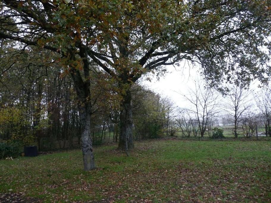 Charmante Maison En Campagne Grand-Fougeray Екстериор снимка